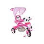 Tricicleta copii, Arti, Panda 2 Roz - 10