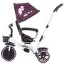 Tricicleta copii, Chipolino, Jetro Mecanism de pedalare libera, Suport picioare, Control al directiei, Rotire 360 grade Dhalia - 3