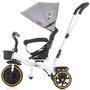 Tricicleta copii, Chipolino, Jetro Mecanism de pedalare libera, Suport picioare, Control al directiei, Rotire 360 grade Mist - 2