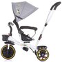 Tricicleta copii, Chipolino, Jetro Mecanism de pedalare libera, Suport picioare, Control al directiei, Rotire 360 grade Mist - 3
