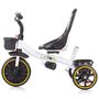 Tricicleta copii, Chipolino, Jetro Mecanism de pedalare libera, Suport picioare, Control al directiei, Rotire 360 grade Mist - 5