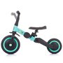 Chipolino - Tricicleta si bicicleta  Smarty 2 in 1 mint - 6