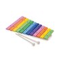 New classic toys - Xilofon lemn, 12 note colorate - 1