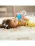 Munchkin Cana Any Angle, Click Lock, Cu Pai Flexibil, 296ml, 12L+