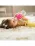 Munchkin Cana Any Angle, Click Lock, Cu Pai Flexibil, 296ml, 12L+