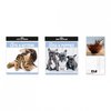 2020 CALENDAR  SQUARE PHOTOGRAPHIC PUPPIES/KITTY