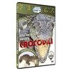 DVD Afla totul despre crocodili