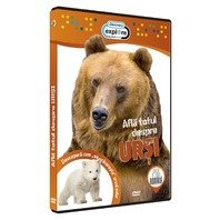 DVD Afla totul despre ursi