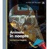 ANIMALE IN NOAPTE (CU LANTERNA MAGICA)