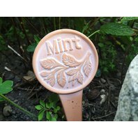 DECO GRADINA din TERACOTA- IERBURI diverse modele