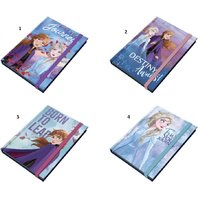 FROZEN2-AGENDA CU ELASTIC10*13