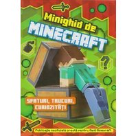 Minighid de Minecraft