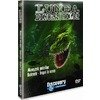 DVD Lumea Dinozaurilor - Monstrii marilor. Balenele - Inapoi in ocean