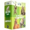 Pachet 5 DVD-uri  Afla totul despre animale