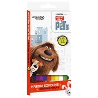Pets  Creioane colorate 18 cm , 12 culori