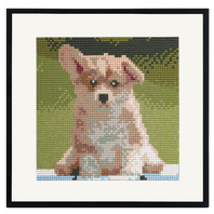 Pictura cu Diamante CATELUS, 20x20cm
