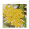 Pictura Diamant Set 2 Carduri, 13x13cm-Flori