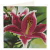 Pictura Diamant Set 2 Carduri, 13x13cm-Flori