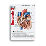 Pliant Anatomie 2- Sistemul Circulator