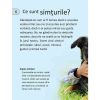 Seria Discover Science. Simturi