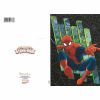 Spiderman Felicitare (2)