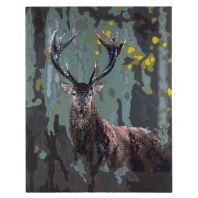 Canvas 2 in 1 pictura pe numere si pe diamante 40*50 cm Crb