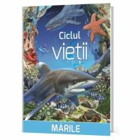 Ciclul Vietii Marile cu insert