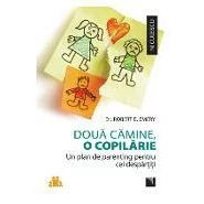 Doua camine, o copilarie Un plan de parenting pentru cei despartiti