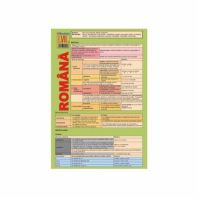 Pliant Romana cls a7 a- Sintaxa,Morfologie