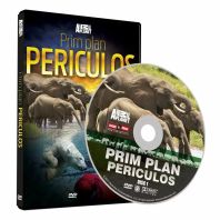 DVD Prim plan periculos - disc 1