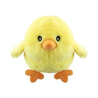 Pui de plus 10cm