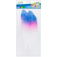 Set creativ - Aplicatii pene colorate