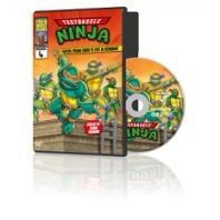 Testoasele Ninja - DVD Slim Vol.4