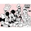 Puzzle 4 In 1 20-24-36-48 piese, 30X40Cm Mickey
