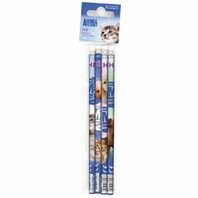 Set de 4 creioane cu radiera Animal Planet Cute