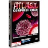 DVD Atlasul Corpului Uman - Sistemul imunitar. Ceasul biologic