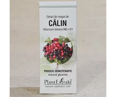 Extract de muguri de Călin 50ml