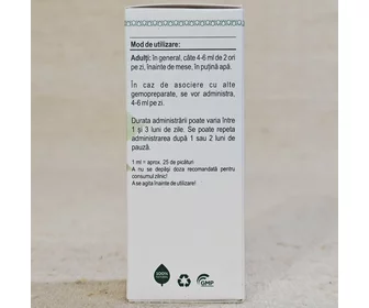 Extract din muguri de castan sălbatic 50ml picture - 2