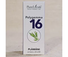 Polygemma 16 pentru plămâni 50ml