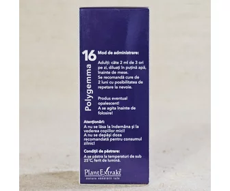 Polygemma 16 pentru plămâni 50ml picture - 2