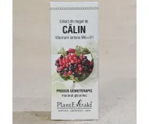 Extract de muguri de Călin 50ml