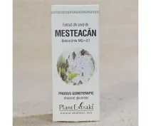 Extract din sevă de mesteacăn 50ml
