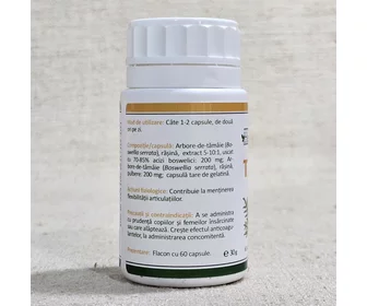 Supliment alimentar de tămâie complex 60 capsule picture - 3