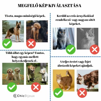 Ezüst Fotogravírozott Kutya Kulcstartó