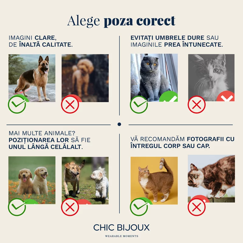 Breloc caine iubit - Personalizare cu poza - Argint 925 - Inel otel inoxidabil picture - 5