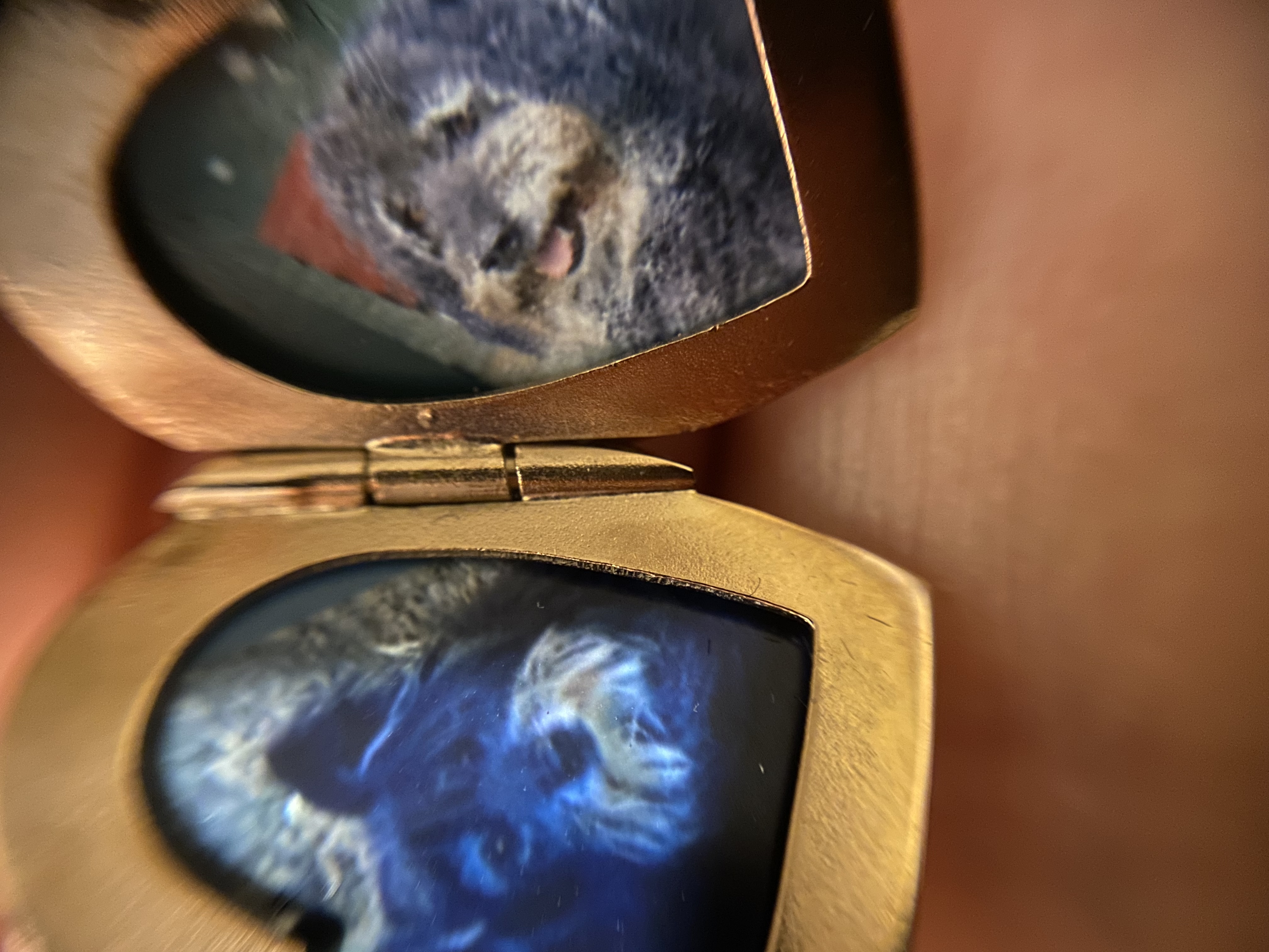 Recenzie Lantisor cu medalion inima 20 mm cu poza in interior - Gravura personalizata - Argint 925 placat cu Aur Roz 18K - Ilona M.