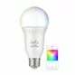 Bec Smart WiFi Eufy Lumos Color E26 RGBW - 1