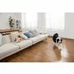 Camera de supraveghere eufy IP interior Pan/Tilt, Wi-Fi, IP, 2K 1080P, Alb - 11