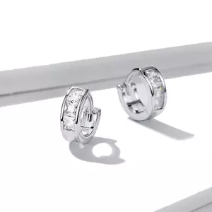 домашни любимци Square Crystals Hoops