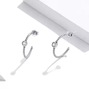 Cercei din argint Crystal Swirls